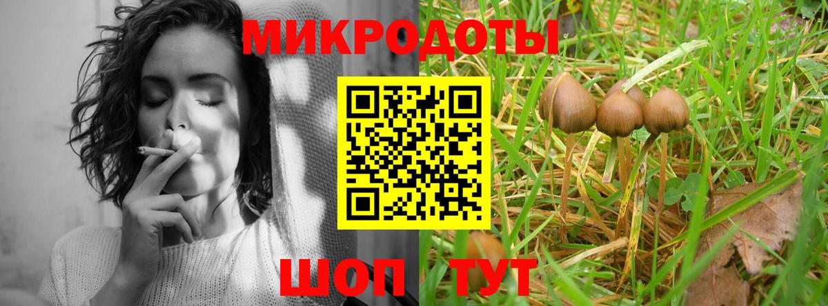 Псилоцибиновые грибы прущие грибы Воркута
