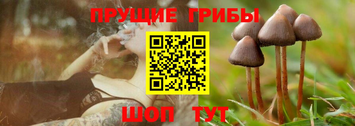 как найти наркотики  Галлюциногенные грибы прущие грибы  Вход с VPN  Воркута 